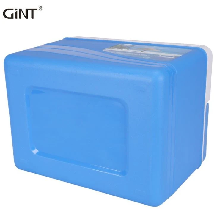 Insulated Easy Carry Plastic Cooler Box For Fishing